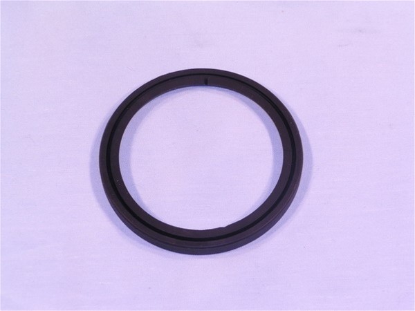 UPPER BODY SEAL JE810