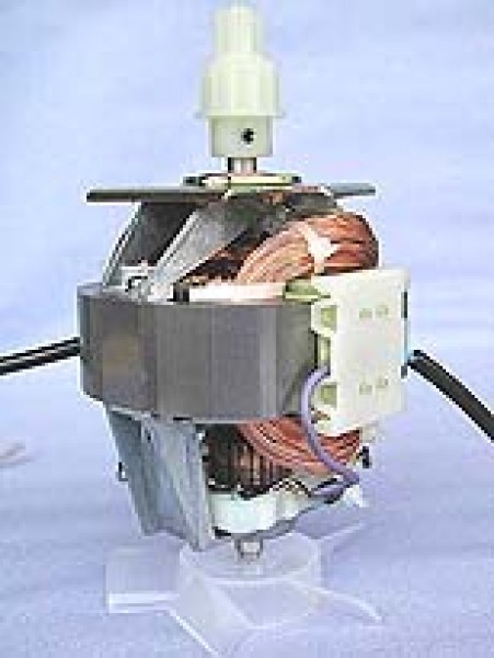 230V MOTOR ASSEMBLY