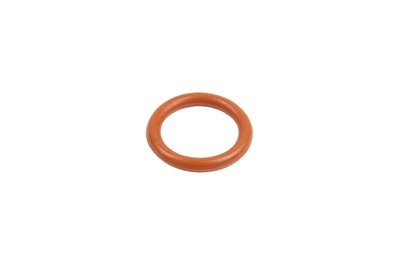 O-Ring rot