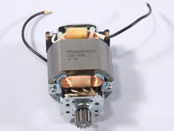 MOTOR ASSY 230V CH250
