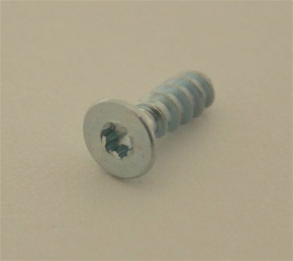 Schraube KST/PT Torx 8